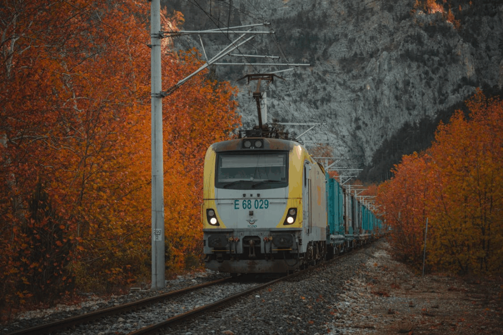 Modern electric train traveling through a scenic autumn forest with vibrant orange leaves and mountain backdrop