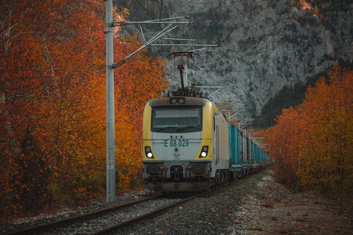 Modern electric train traveling through a scenic autumn forest with vibrant orange leaves and mountain backdrop
