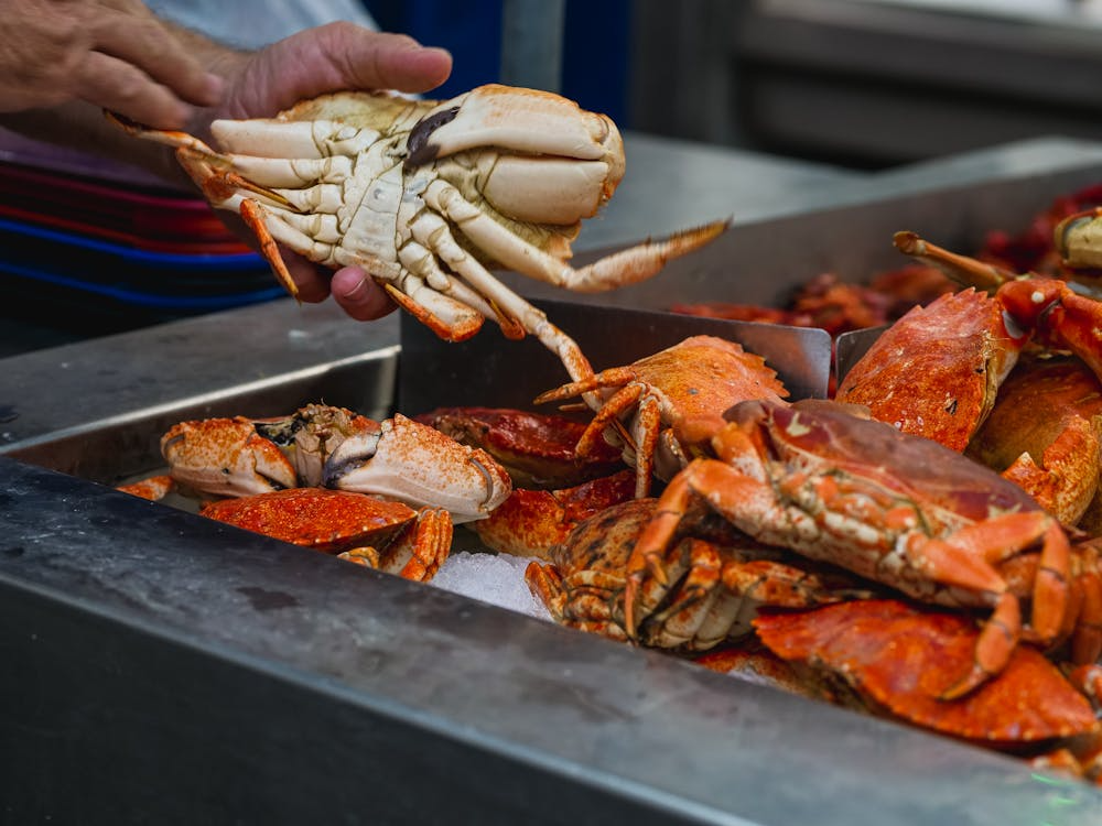 Freshly caught crab being sold at Kep Crab Market in Cambodia