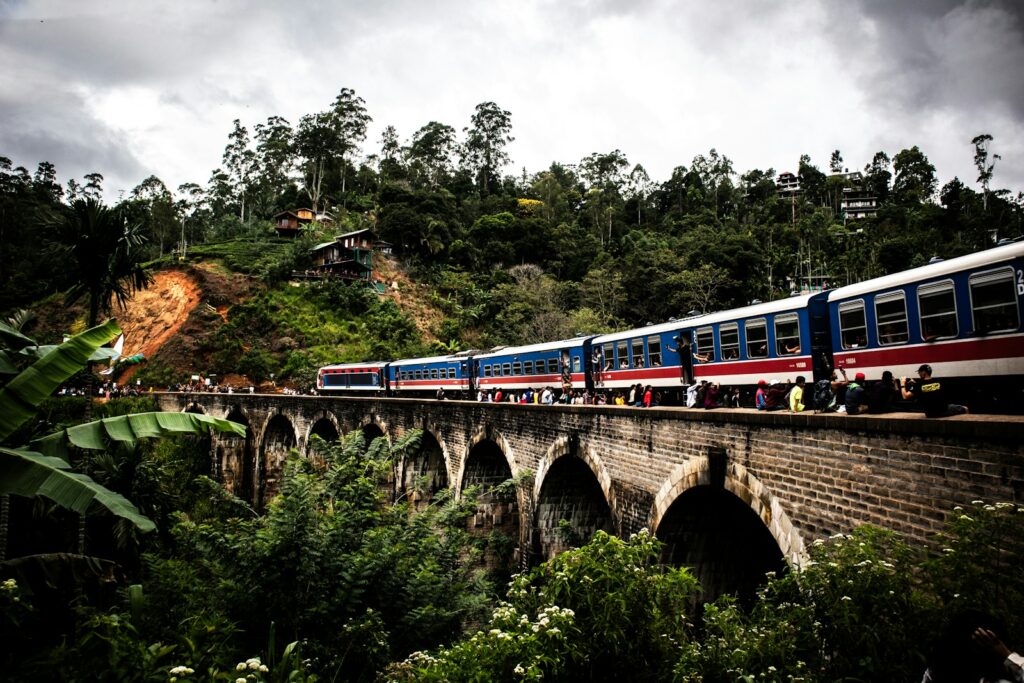 A train traveling over a bridge in a forest