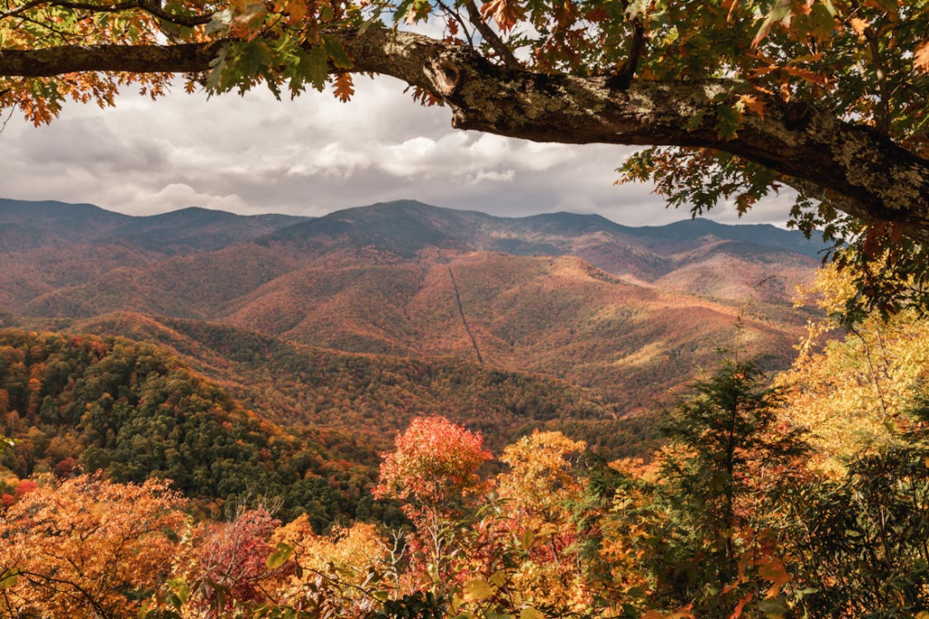 Great Smoky Mountains showing one of the best fall foliage destinations in the US.