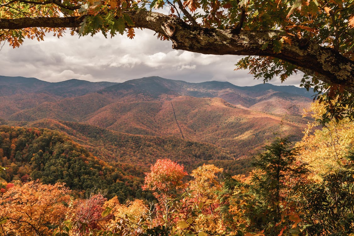 Great Smoky Mountains showing one of the best fall foliage destinations in the US.